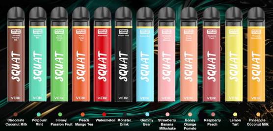 VEIIK Squat Mesh 1800 Puffs Disposable Vape Pen 10pcs Multiple Flavors - VEIIK vape review 2P66P54